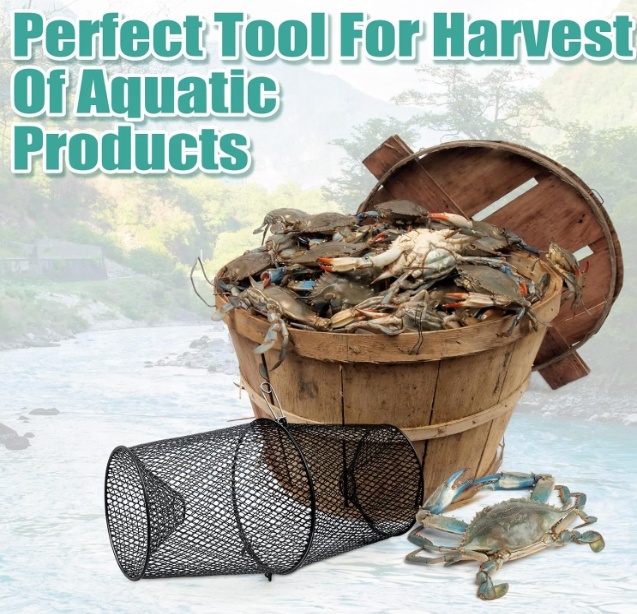 Metalen langoestenval Kreeftva - Fishing Equipment Market recensie en prijs