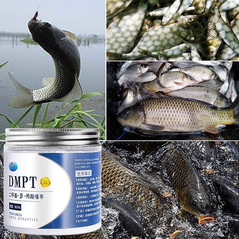 50G Echte Dmpt Hoge Zuiverheid - Fishing Equipment Market recensie en prijs